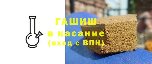 стаф Алзамай