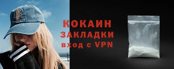 дживик Алексин