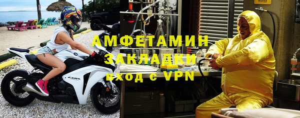 стаф Алзамай