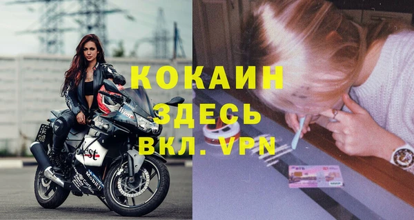 стаф Алзамай