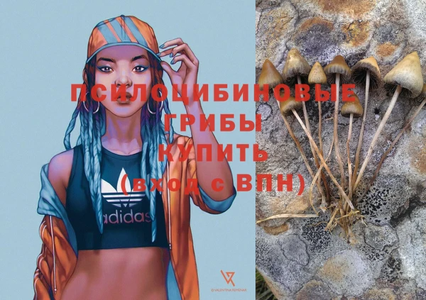 стаф Алзамай
