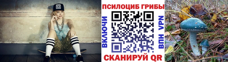 ссылка на мегу маркетплейс  как найти закладки  Зарайск  Галлюциногенные грибы MAGIC MUSHROOMS 